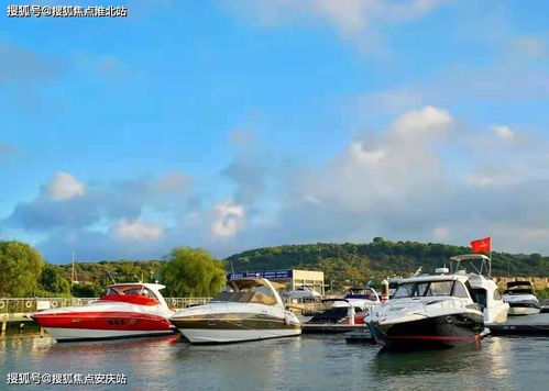 蘇州金庭復園 全景瞰湖美宅，致獻詩意棲居